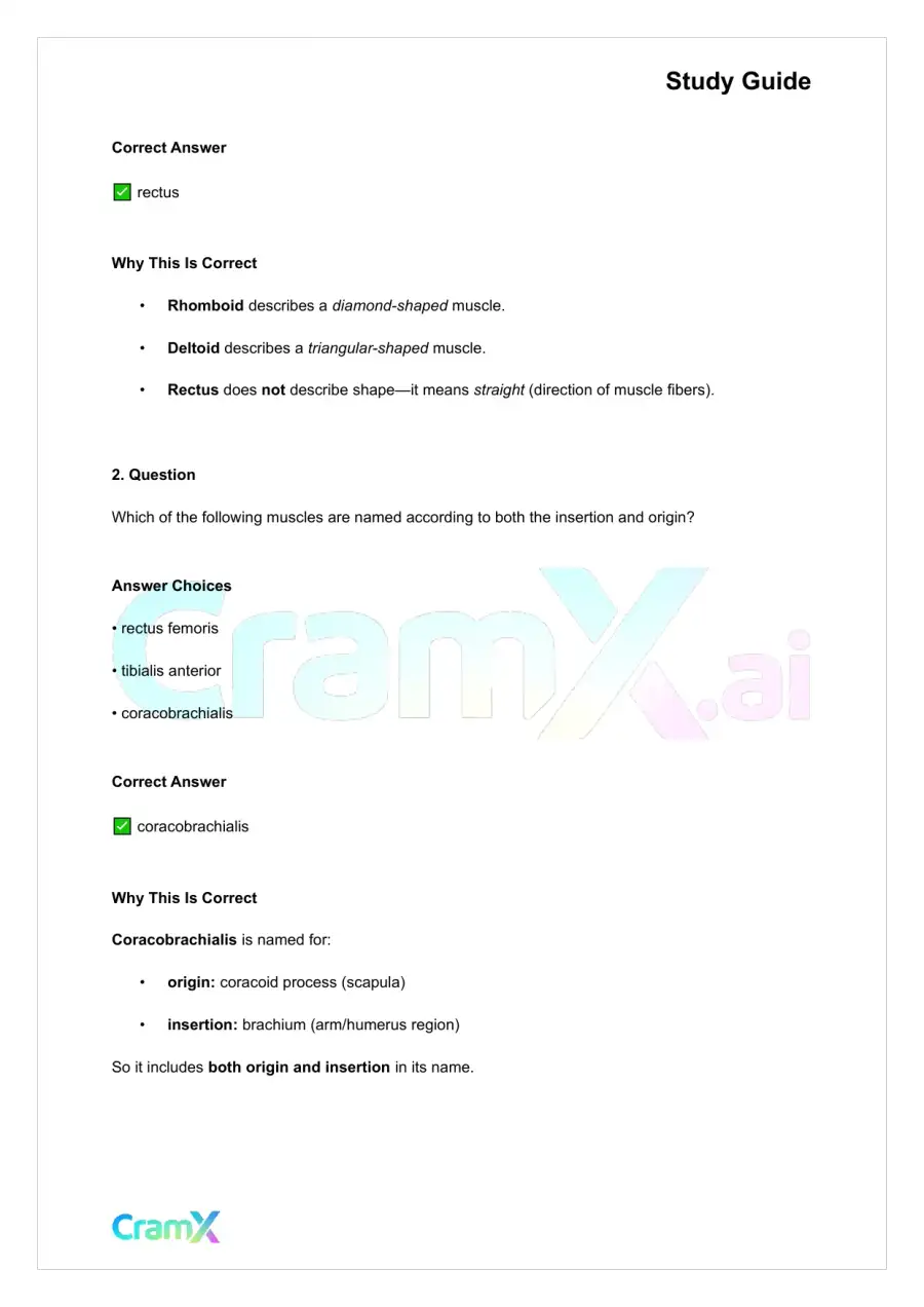 Anatomy and Physiology - The Muscular System, page 6