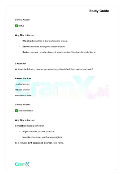 Anatomy and Physiology - The Muscular System - Page 6 preview image