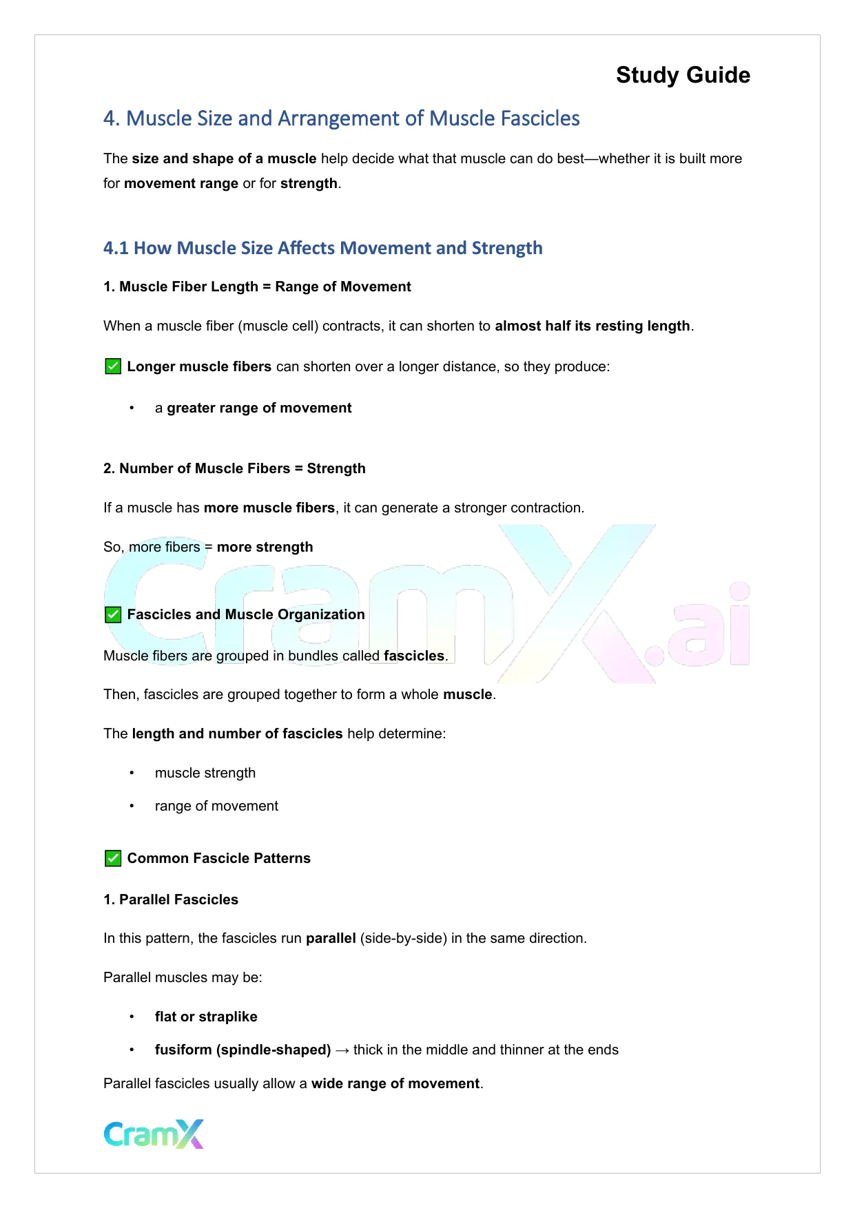 Anatomy and Physiology - The Muscular System - Page 7 preview image
