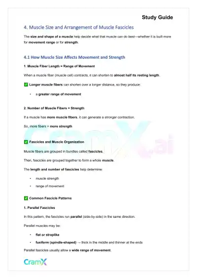 Anatomy and Physiology - The Muscular System - Page 7 preview image