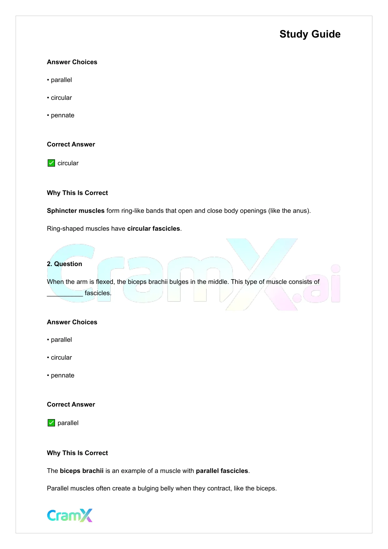 Anatomy and Physiology - The Muscular System - Page 9 preview image