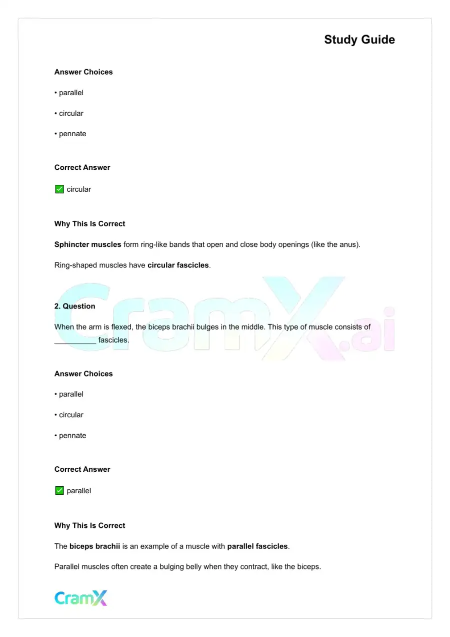 Anatomy and Physiology - The Muscular System, page 9