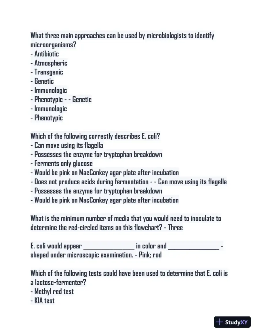 Microbiology Lab Final Study guide with Answers (115 Solved Questions), page 3