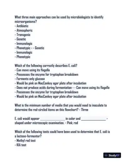 Microbiology Lab Final Study guide with Answers (115 Solved Questions) - Page 3 preview image