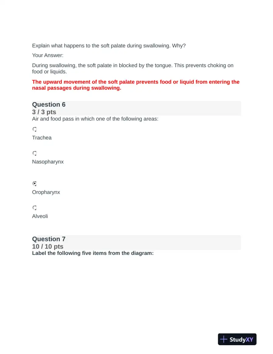 BIOD151 Anatomy and Physiology Final Exam With Answers (23 Solved Questions), page 5