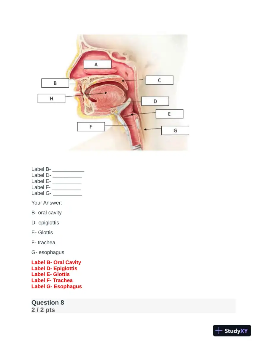 BIOD151 Anatomy and Physiology Final Exam With Answers (23 Solved Questions), page 6