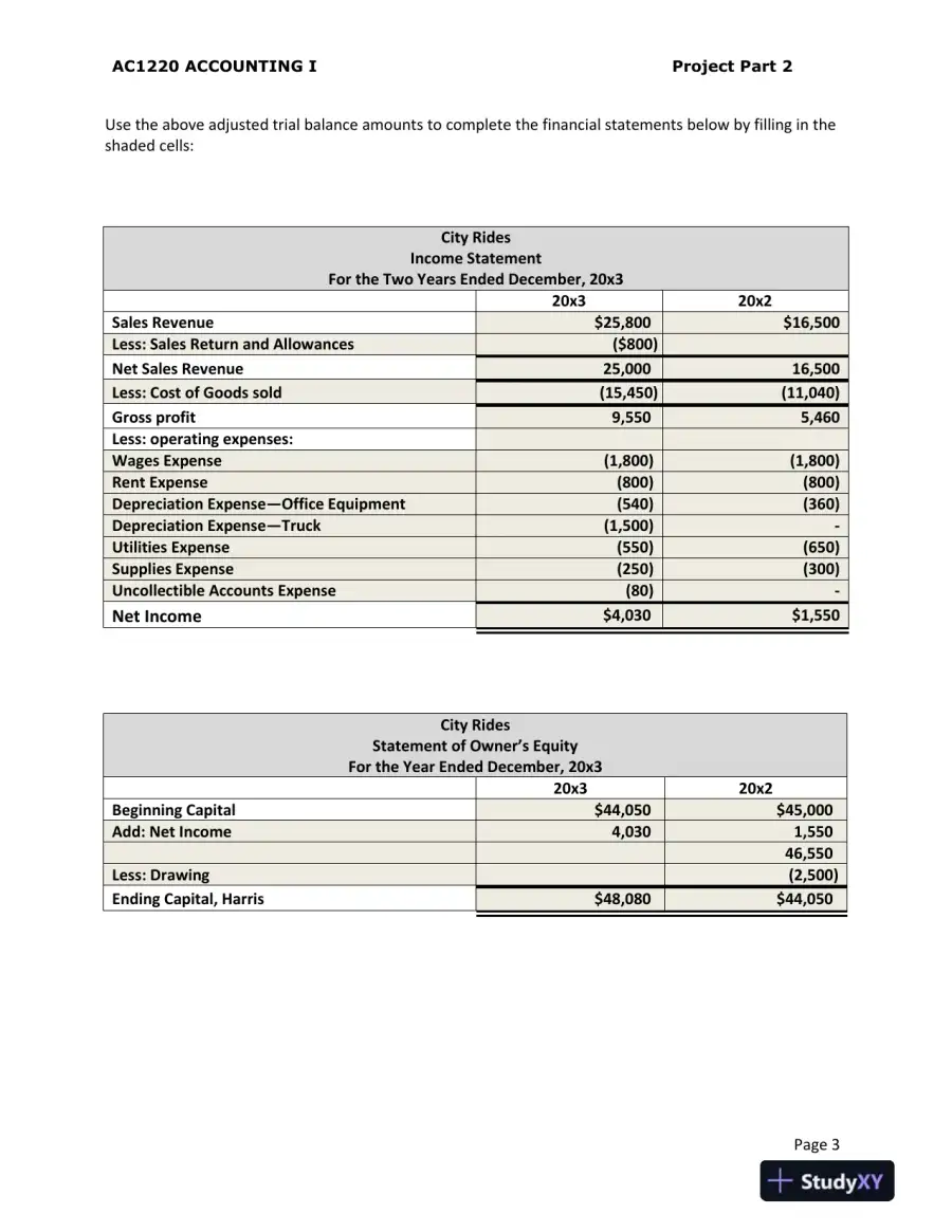 AC1220 Financial Statement Analysis and Loan Recommendation for City Rides and Extreme Scooter, page 4