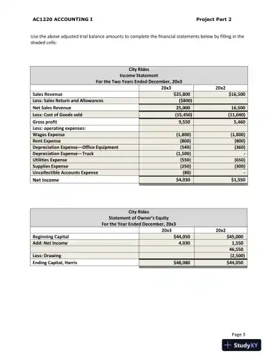 AC1220 Financial Statement Analysis and Loan Recommendation for City Rides and Extreme Scooter - Page 4 preview image