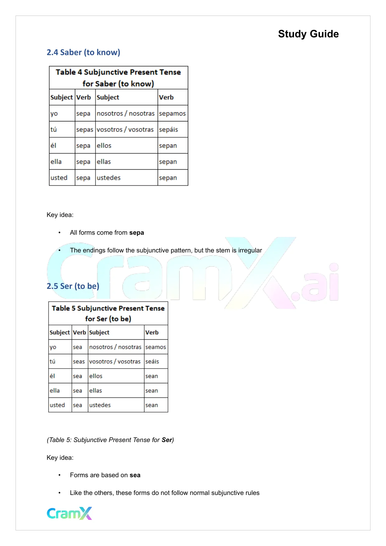 Spanish II - Subjunctive Mood I - Page 8 preview image