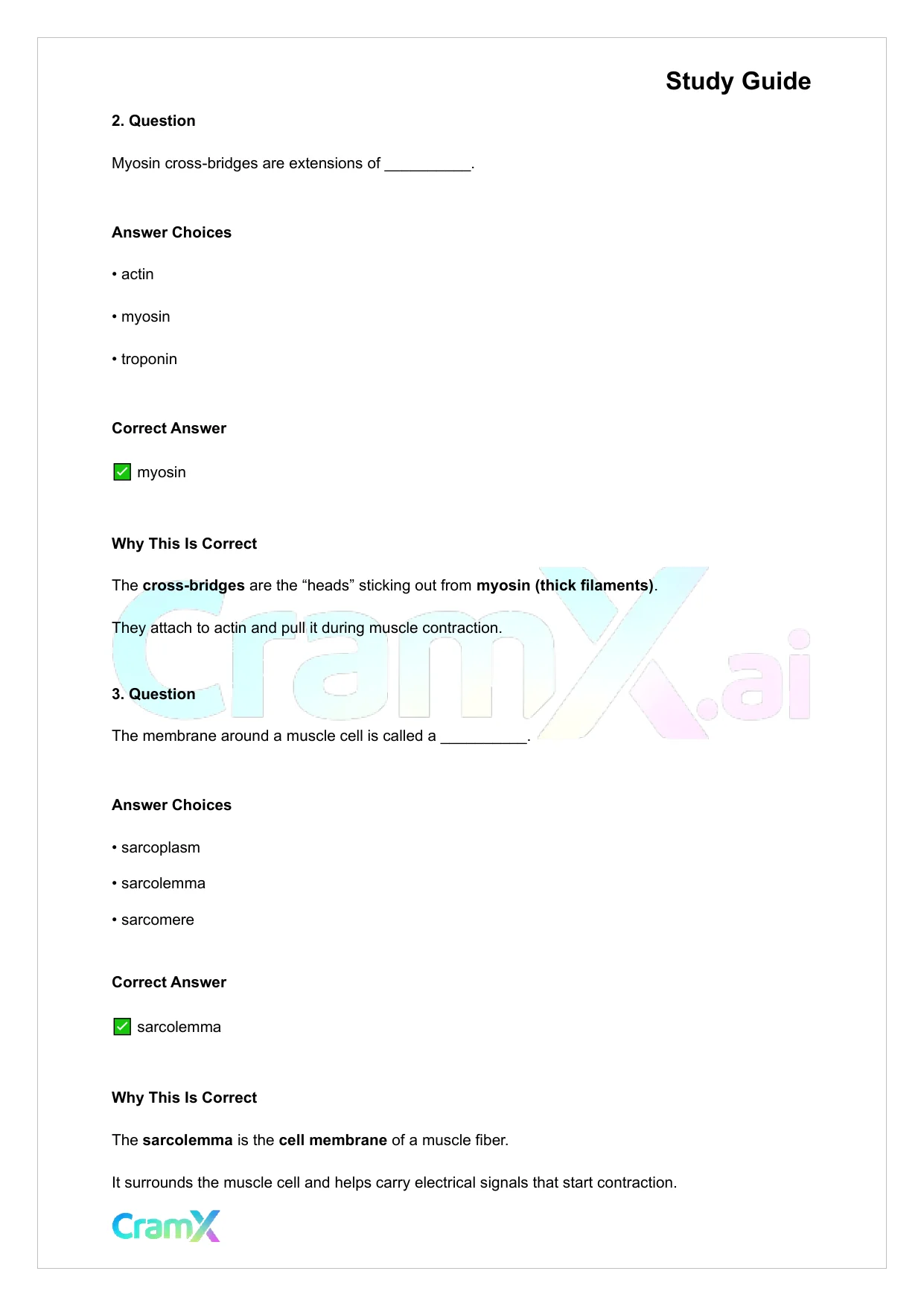 Anatomy and Physiology - Muscle Tissue - Page 10 preview image