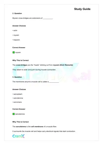 Anatomy and Physiology - Muscle Tissue - Page 10 preview image