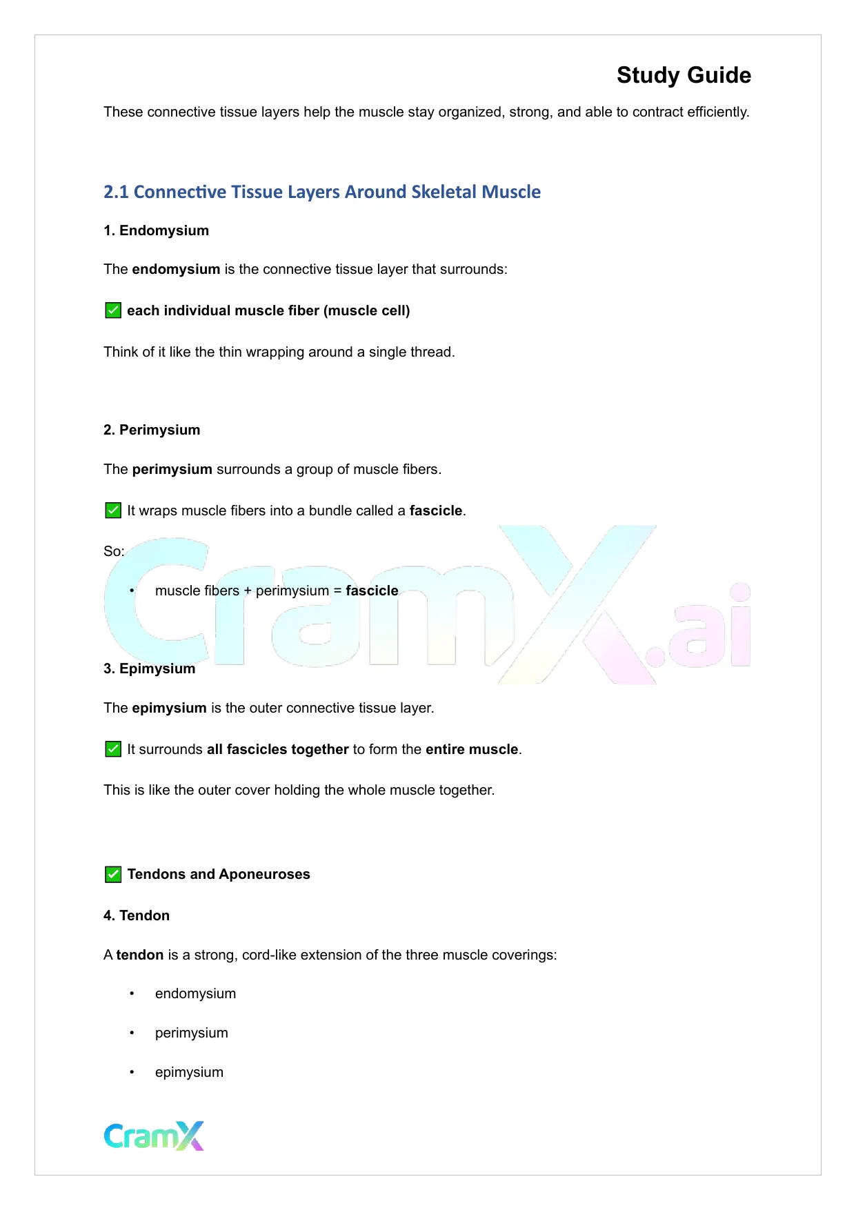Anatomy and Physiology - Muscle Tissue - Page 3 preview image
