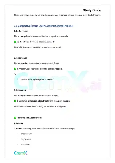 Anatomy and Physiology - Muscle Tissue - Page 3 preview image