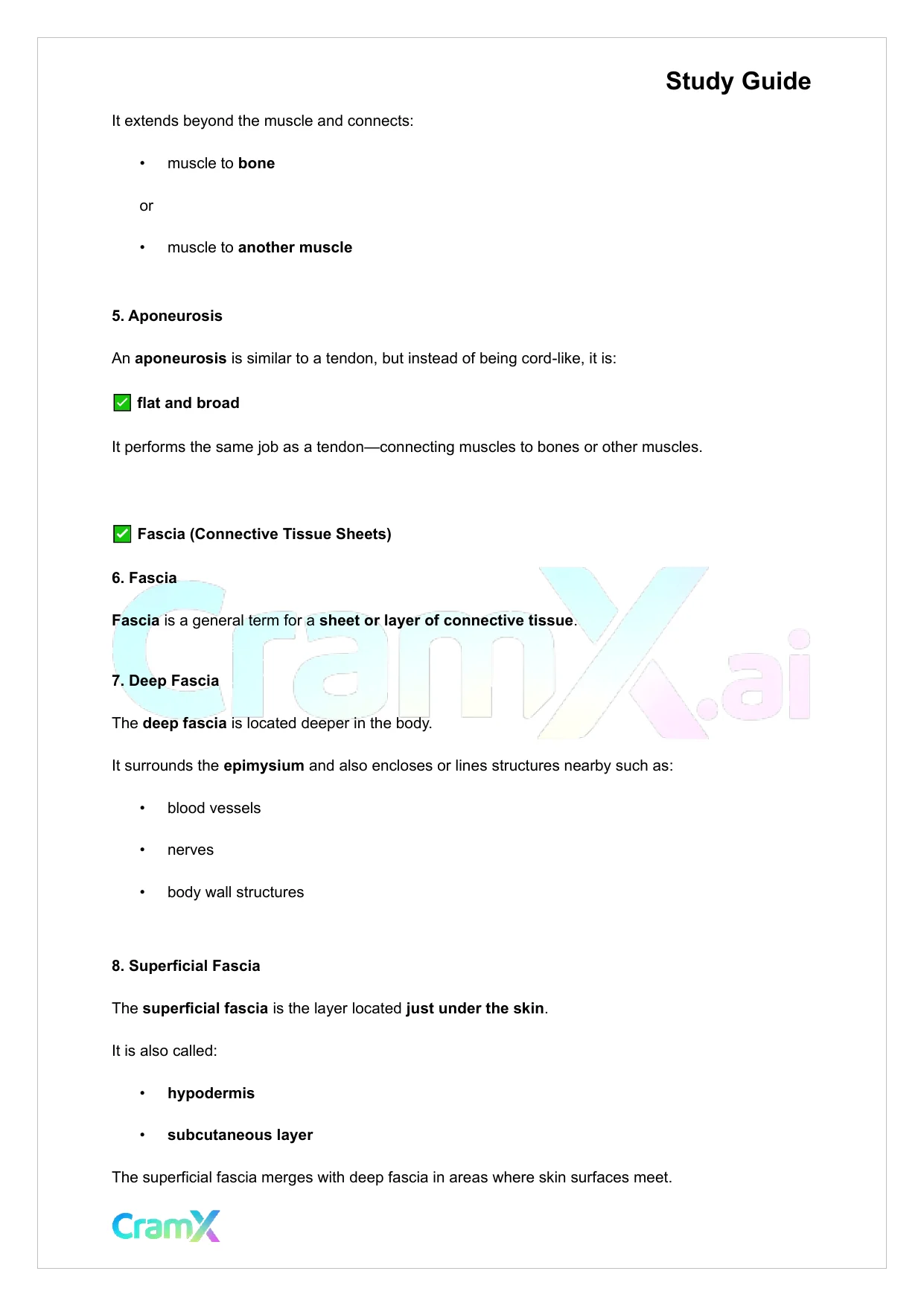 Anatomy and Physiology - Muscle Tissue - Page 4 preview image