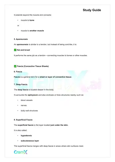 Anatomy and Physiology - Muscle Tissue - Page 4 preview image