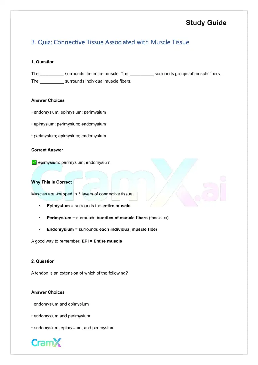 Anatomy and Physiology - Muscle Tissue, page 5