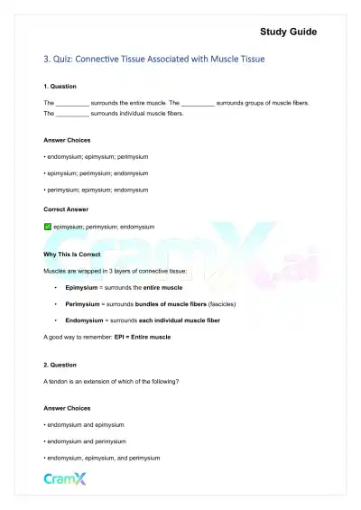 Anatomy and Physiology - Muscle Tissue - Page 5 preview image