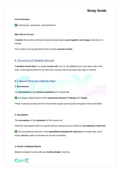 Anatomy and Physiology - Muscle Tissue - Page 6 preview image