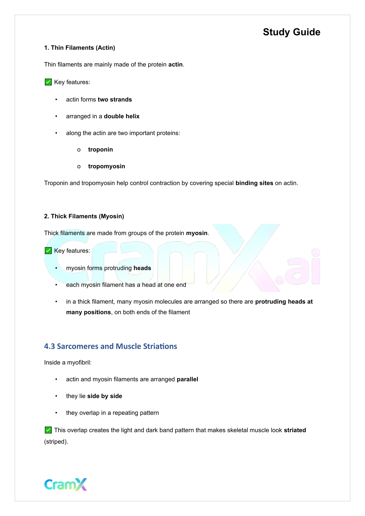 Anatomy and Physiology - Muscle Tissue - Page 8 preview image