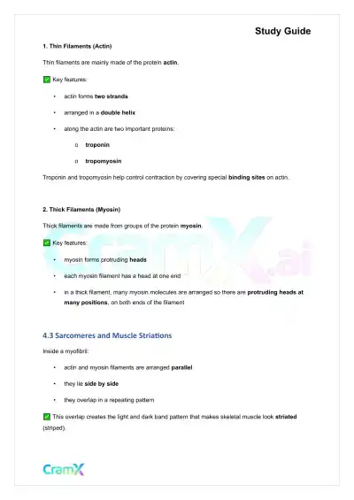 Anatomy and Physiology - Muscle Tissue - Page 8 preview image
