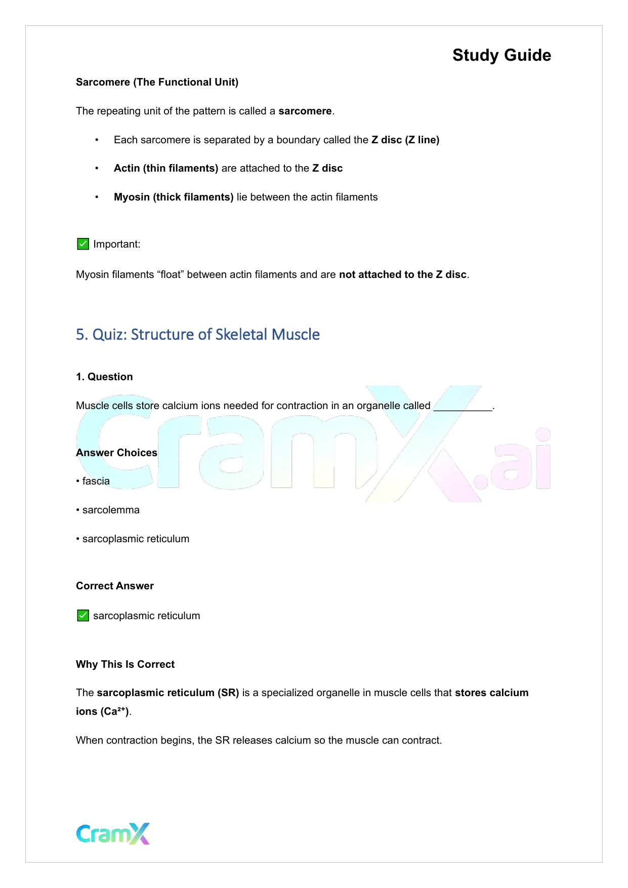 Anatomy and Physiology - Muscle Tissue - Page 9 preview image