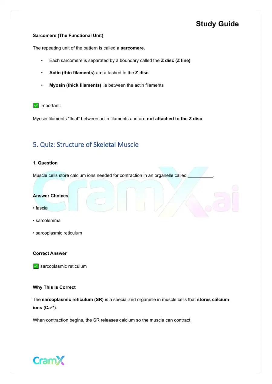 Anatomy and Physiology - Muscle Tissue, page 9