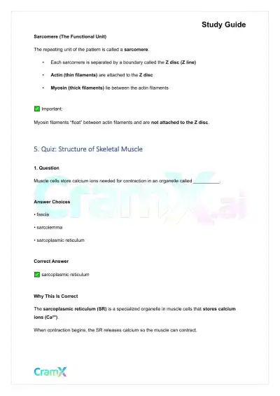 Anatomy and Physiology - Muscle Tissue - Page 9 preview image