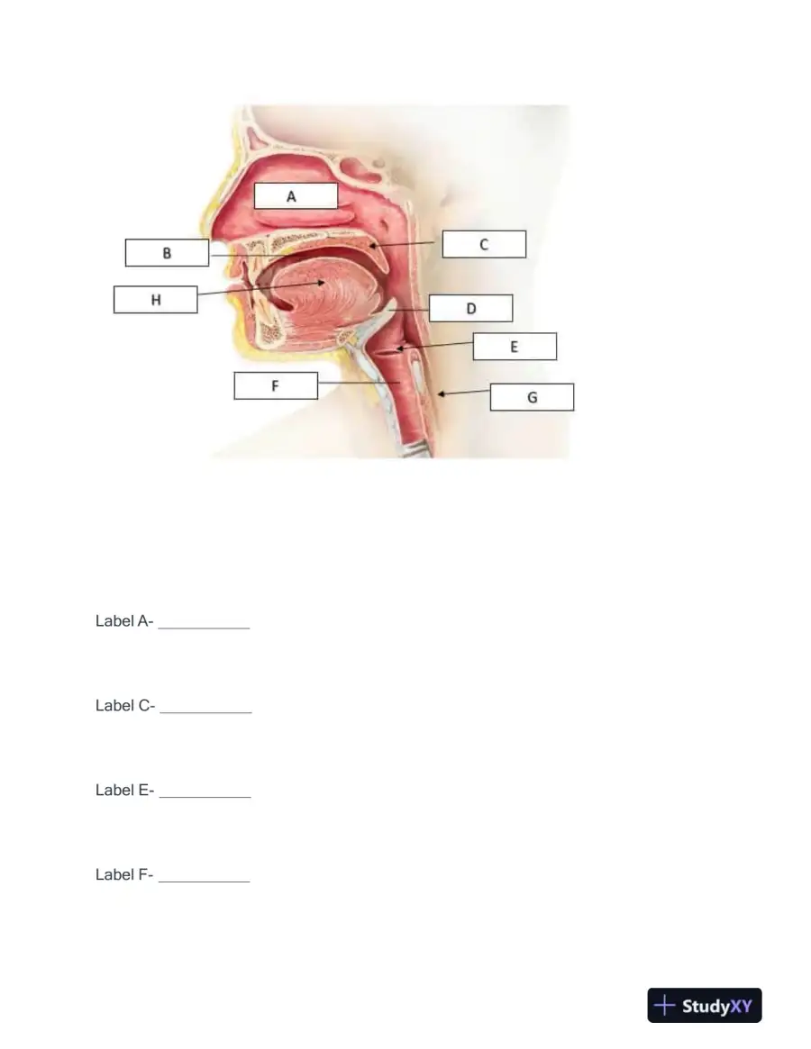 2022-2023 BIOD210 Biology Final Exam With Answers (23 Solved Questions), page 9