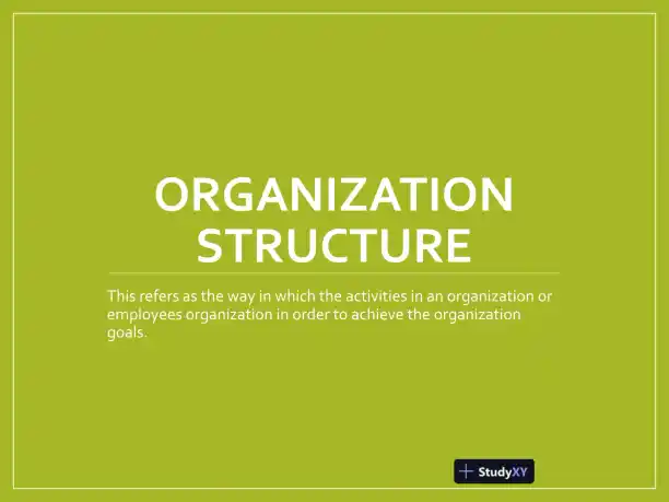 Organization Structure 1 - Page 1 preview image