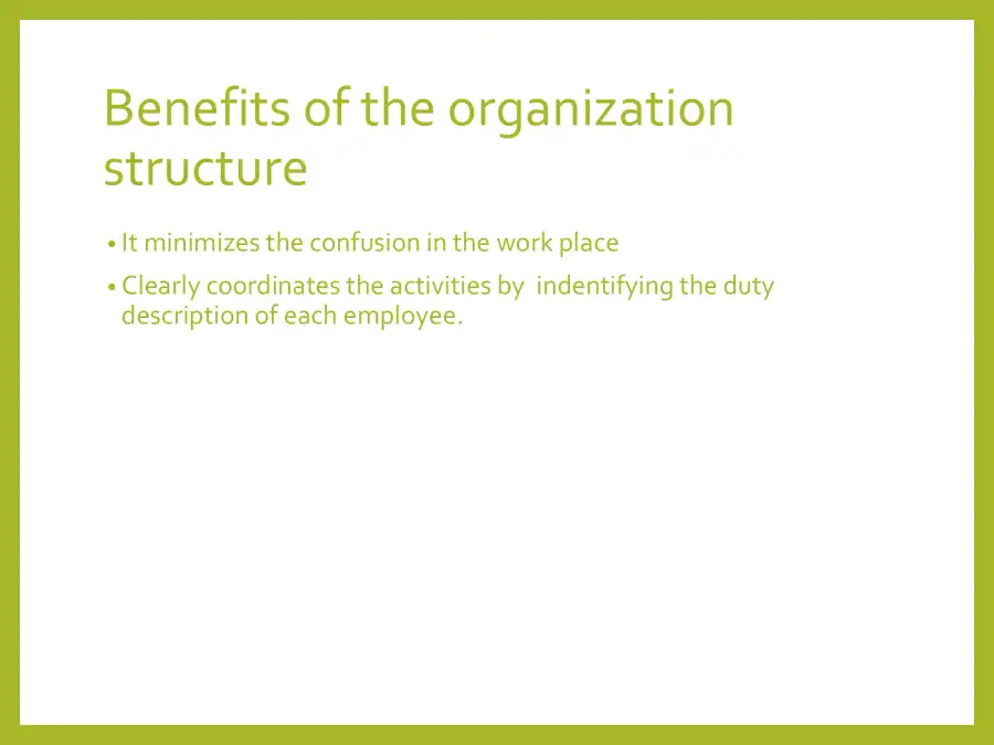 Organization Structure 1, page 2