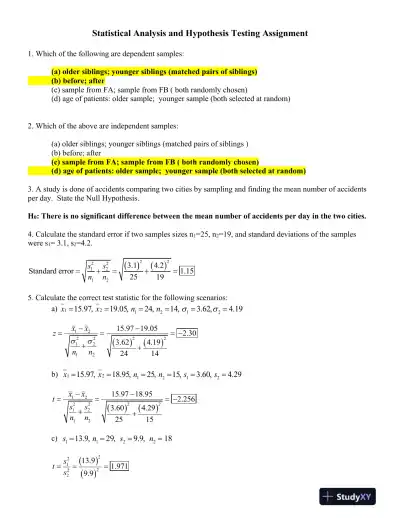 Statistical Analysis and Hypothesis Testing Assignment - Page 1 preview image