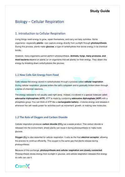 Biology - Cellular Respiration - Page 1 preview image