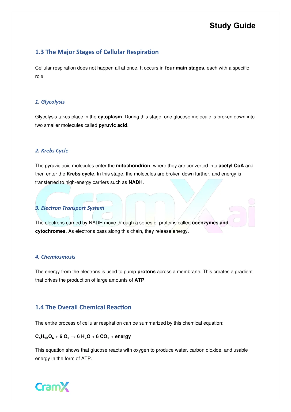 Biology - Cellular Respiration - Page 2 preview image