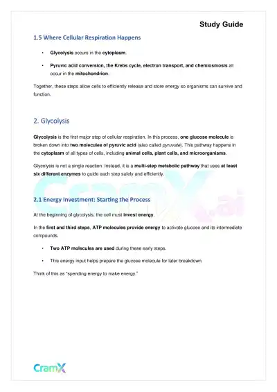 Biology - Cellular Respiration - Page 3 preview image
