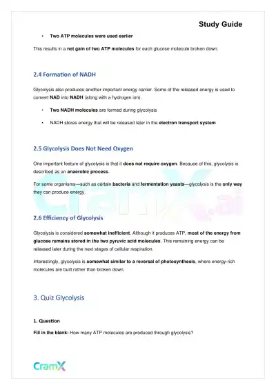 Biology - Cellular Respiration - Page 5 preview image
