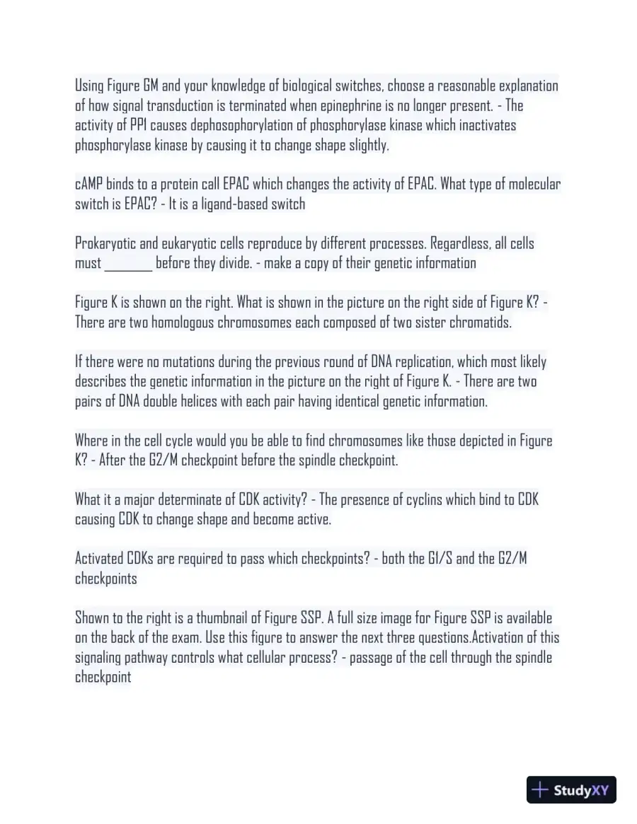 2024 BS161 Comprehensive Final Exam With Answers (1043 Solved Questions), page 14