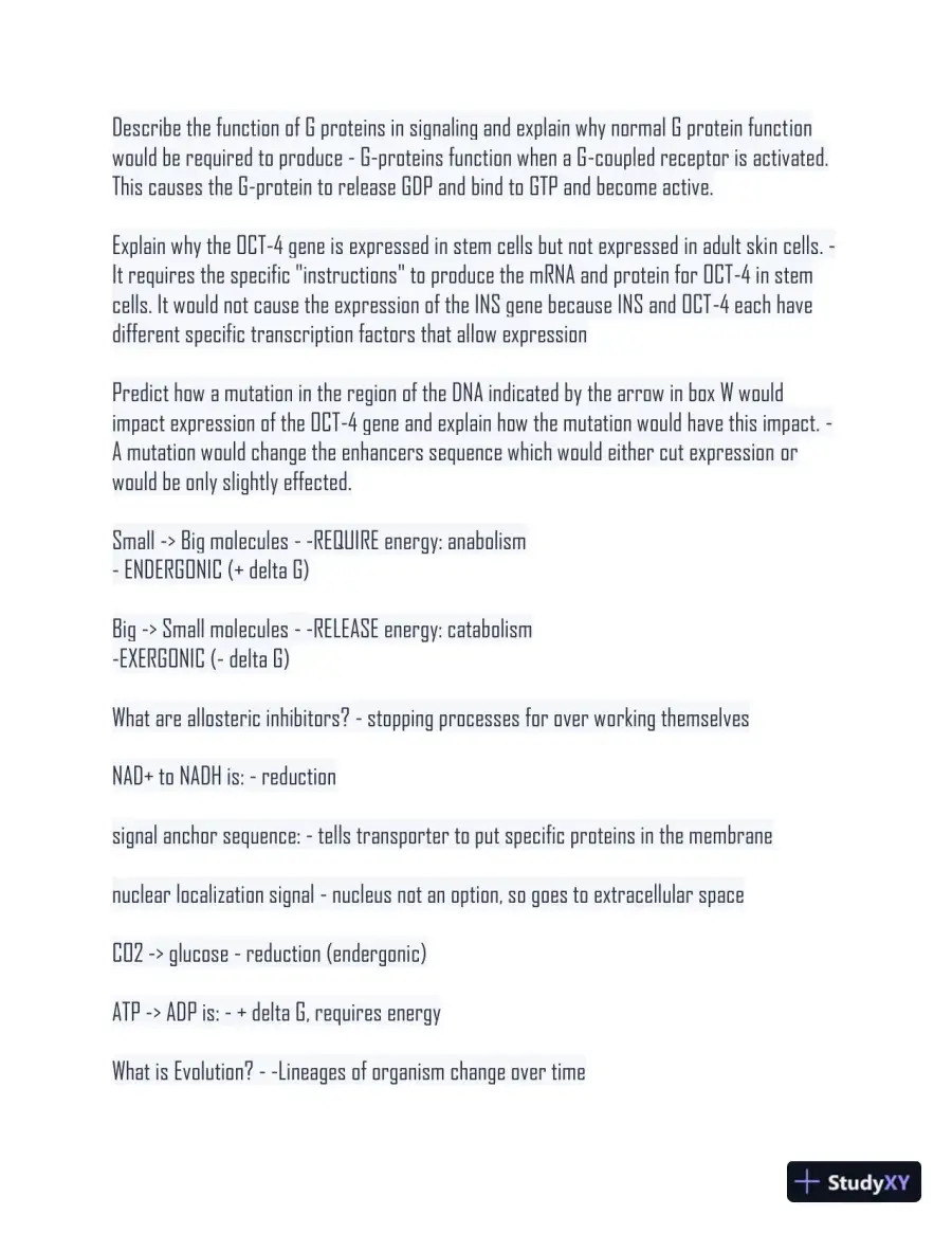 2024 BS161 Comprehensive Final Exam With Answers (1043 Solved Questions), page 16