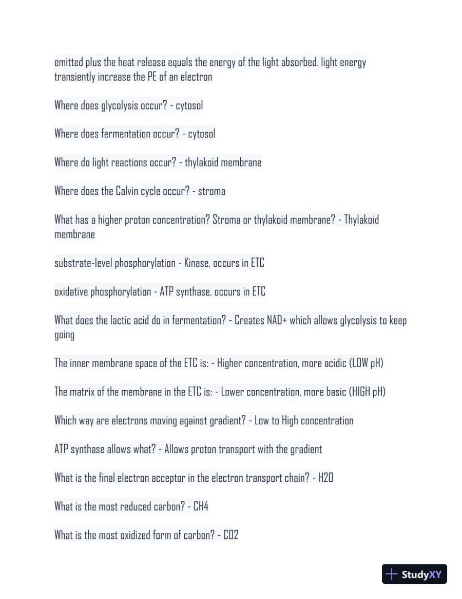 2024 BS161 Comprehensive Final Exam With Answers (1043 Solved Questions), page 4