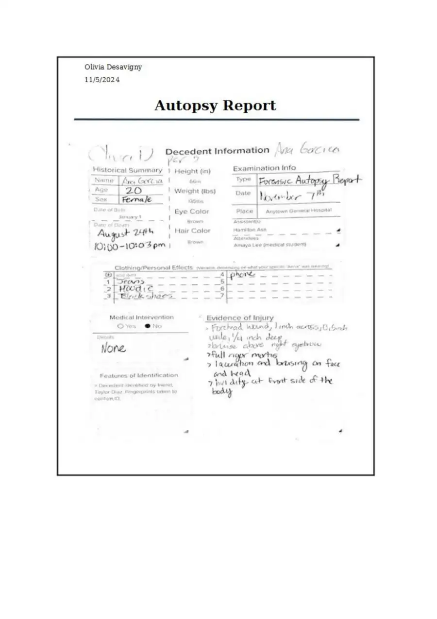 Anna Garcia Forensic Report, page 2