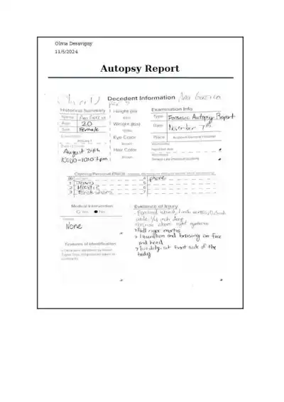 Anna Garcia Forensic Report - Page 2 preview image