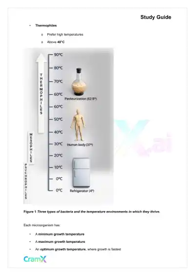 Microbiology - Microbial Cultivation and Growth - Page 4 preview image