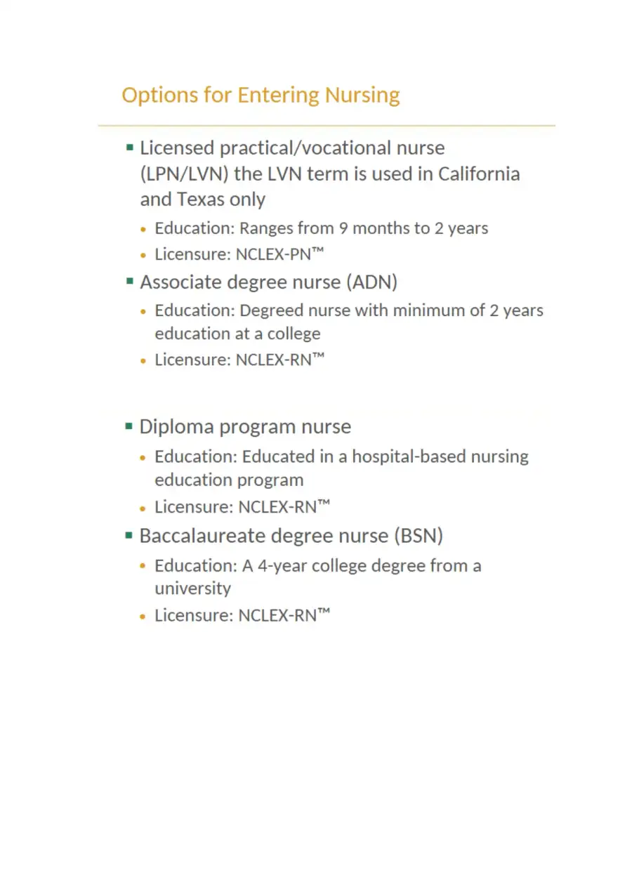 Fundamentals of Nursing Care Concepts, Connections, page 4