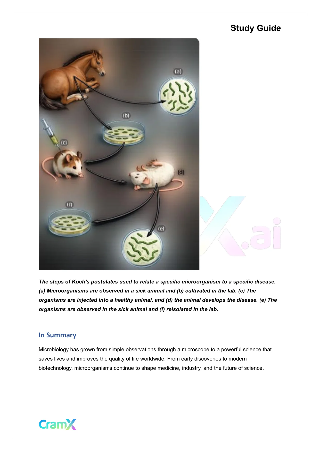 Microbiology - Introduction to Microbiology - Page 4 preview image