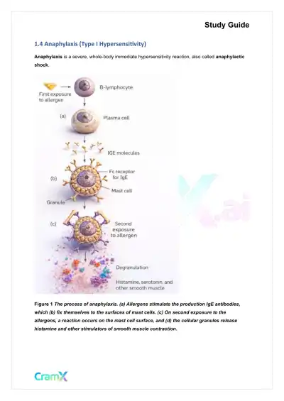 Microbiology - Disorders of the Immune System - Page 3 preview image
