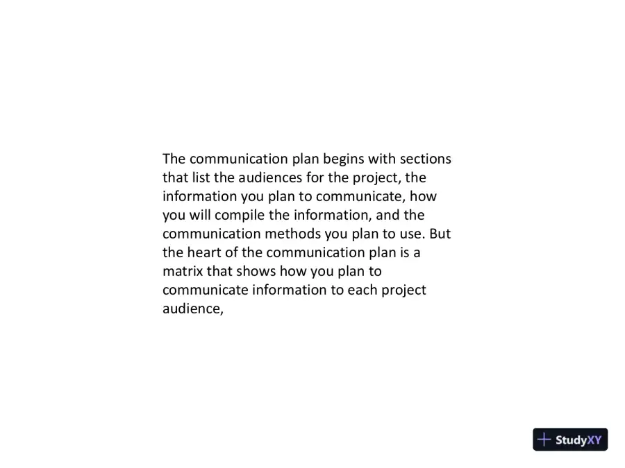 VoIP Project Presentation To The Board Of Directors, page 5