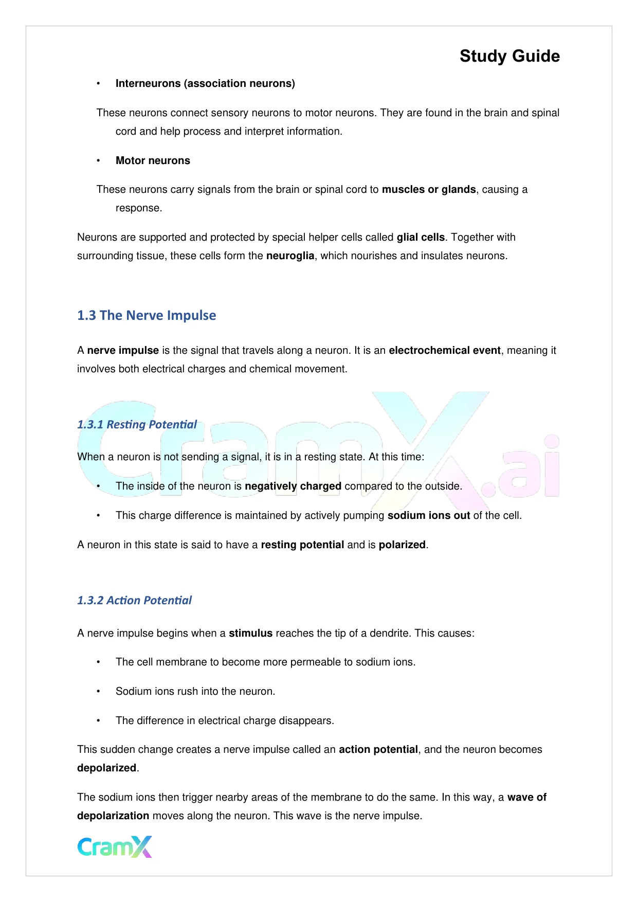 Biology - Nervous Coordination - Page 2 preview image