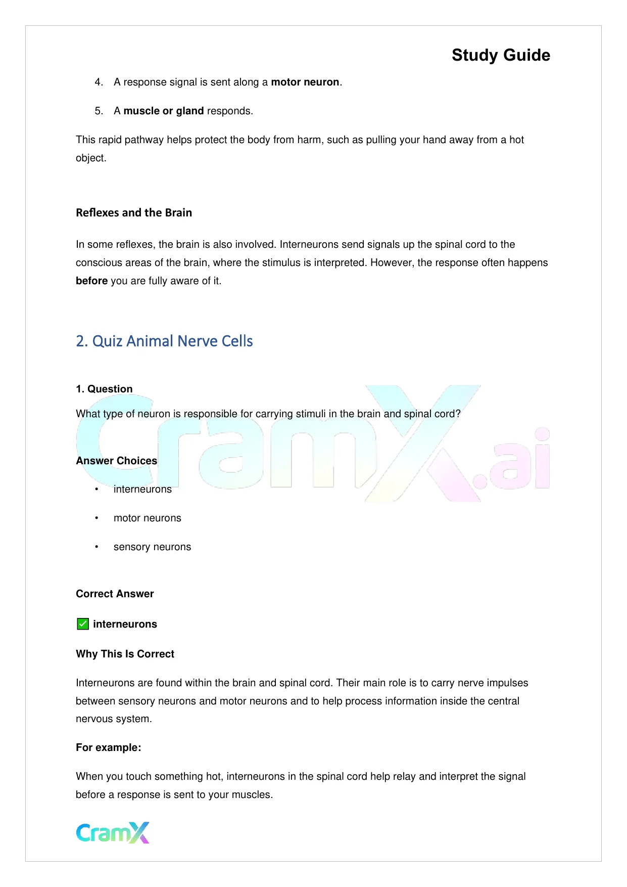 Biology - Nervous Coordination - Page 4 preview image