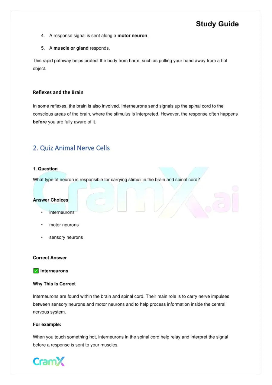 Biology - Nervous Coordination, page 4