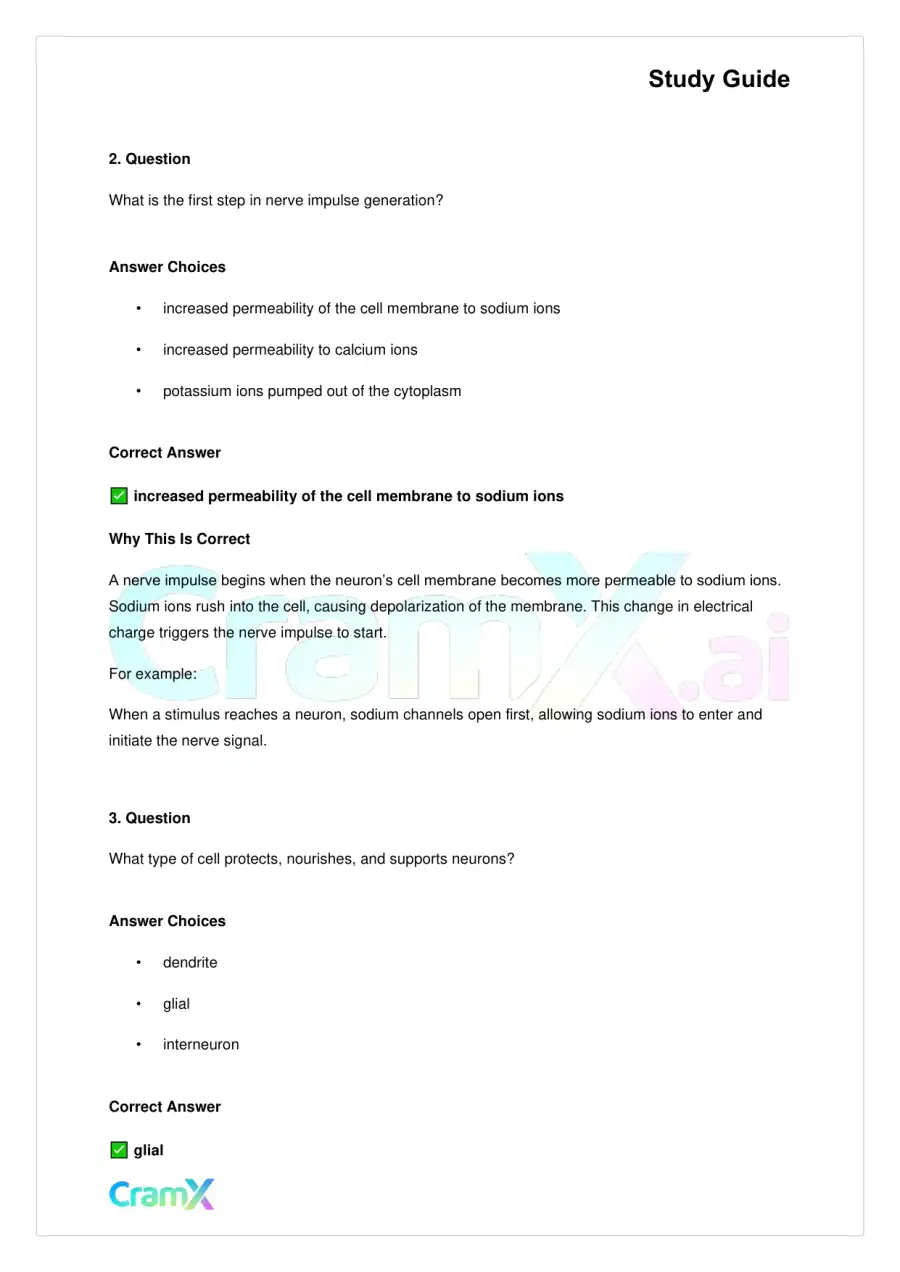 Biology - Nervous Coordination, page 5