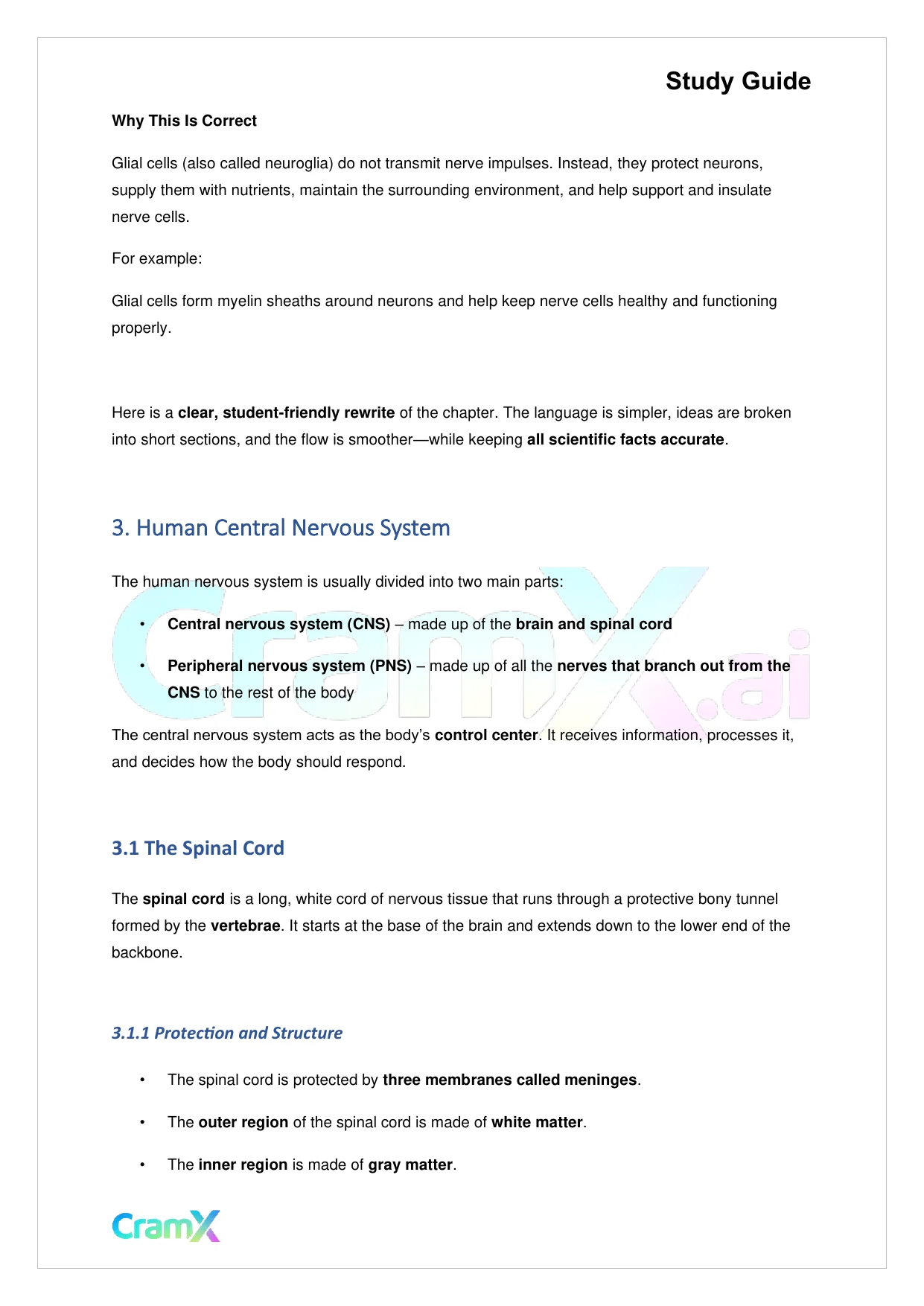 Biology - Nervous Coordination - Page 6 preview image